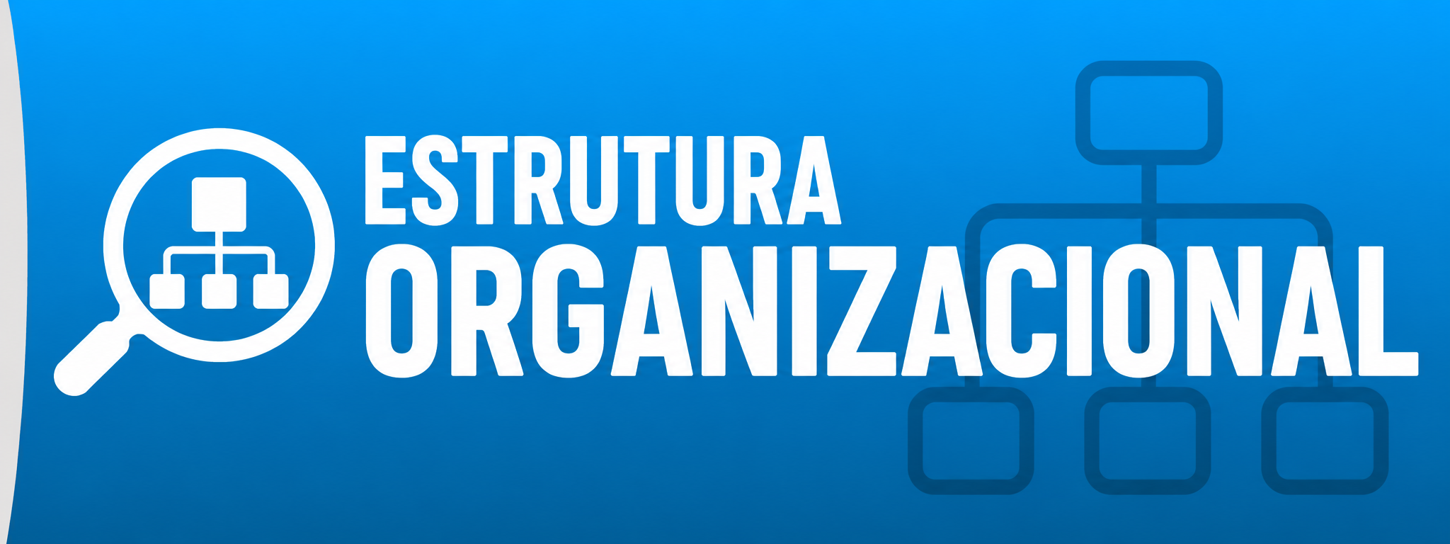 Estrutura Organizacional