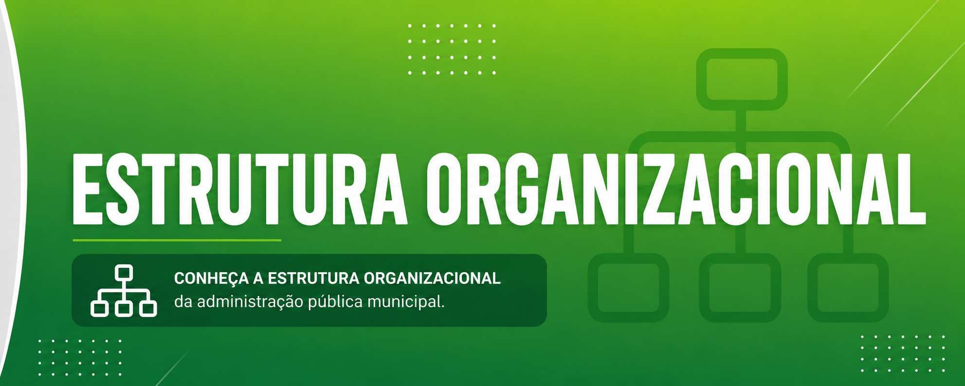 Estrutura Organizacional