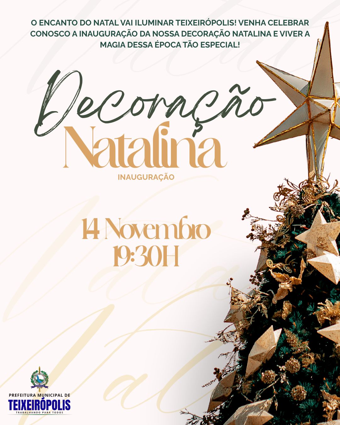 INAUGURAÇÃO LUZES NATALINAS 2026