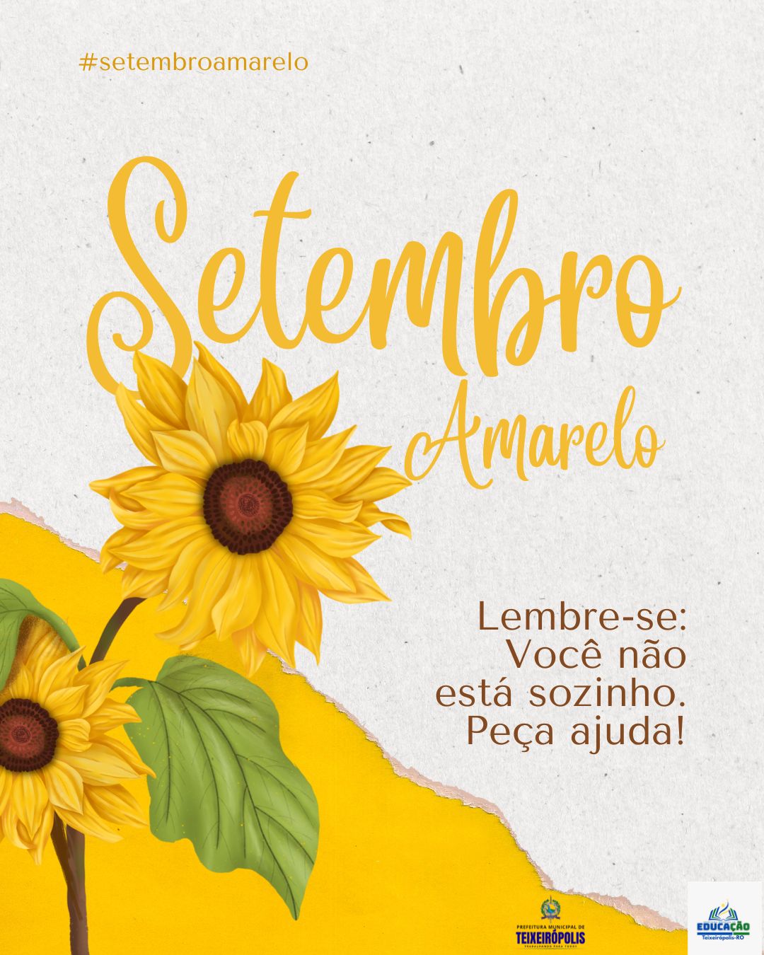 SETEMBRO AMARELO SEMECT