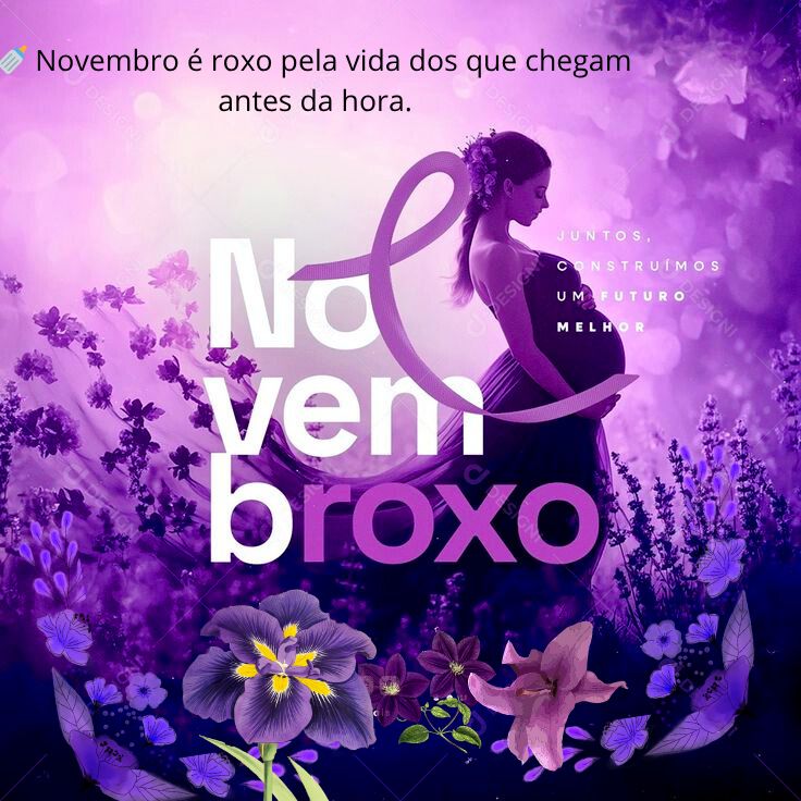 NOVEMBROXO
